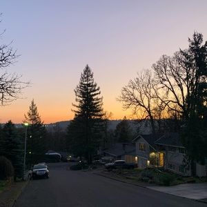 Meet your Posher, Robin